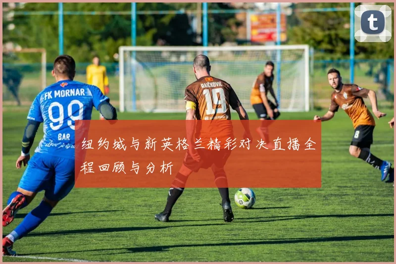 纽约城与新英格兰精彩对决直播全程回顾与分析