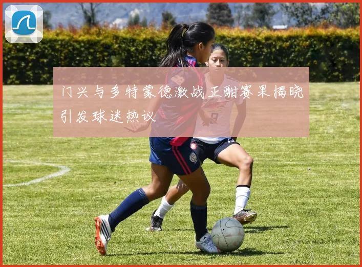 门兴与多特蒙德激战正酣赛果揭晓引发球迷热议